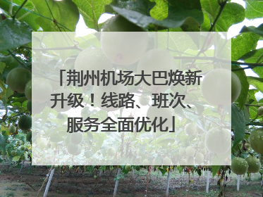 荆州机场大巴焕新升级！线路、班次、服务全面优化